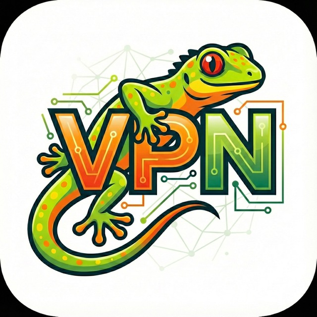 Lizard VPN